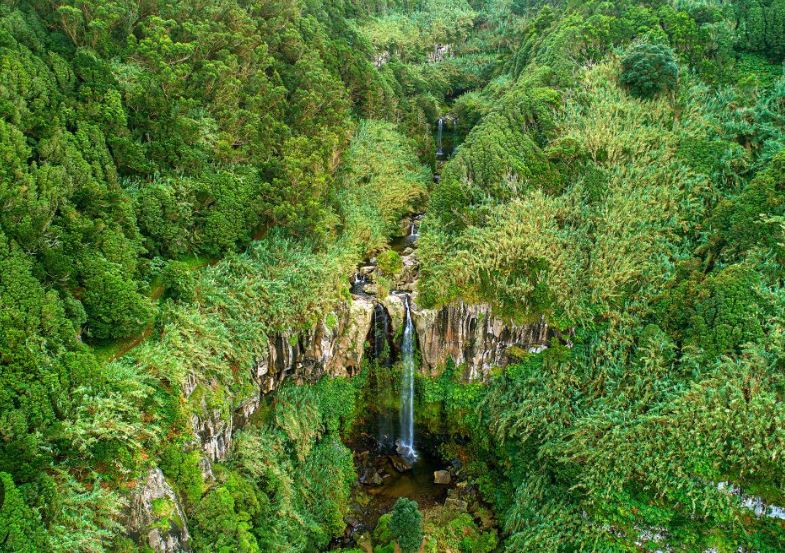 salto da farinha