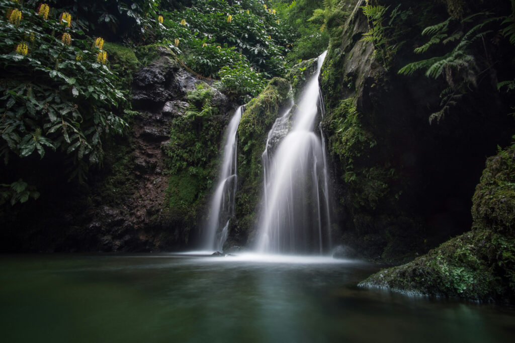 daniel wallace iliteyruu7u unsplash
