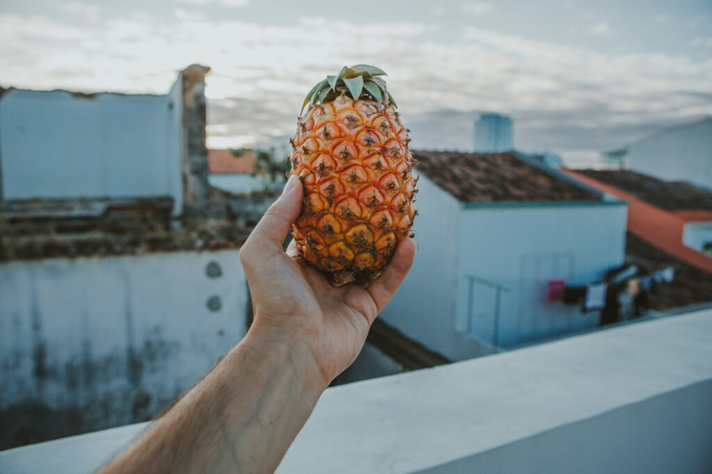 sandro kradolfer j0vsx7r r4q unsplash