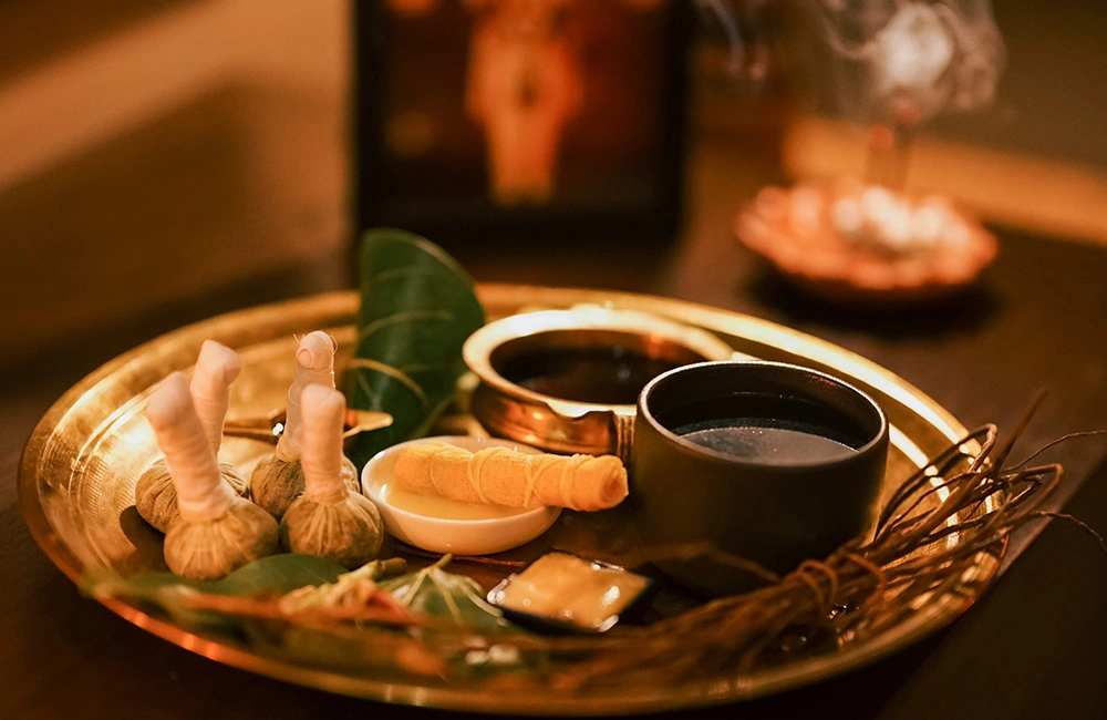 ayurveda ii.